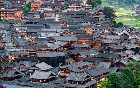 龙马潭乡村别墅的靠谱依赖